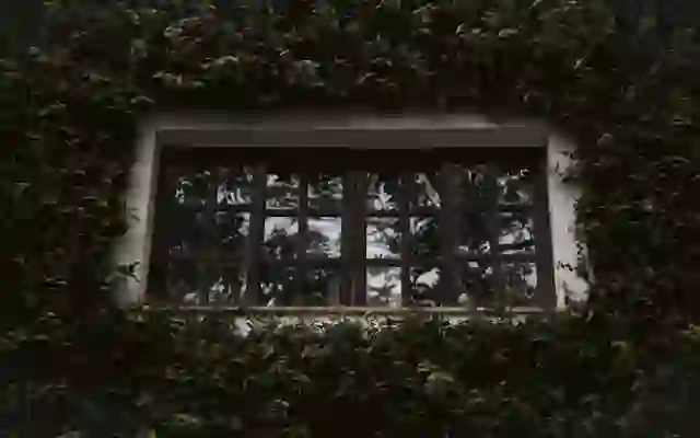 쌍용 자동차 더 뉴 토레스 연비 실내 가격 정보!