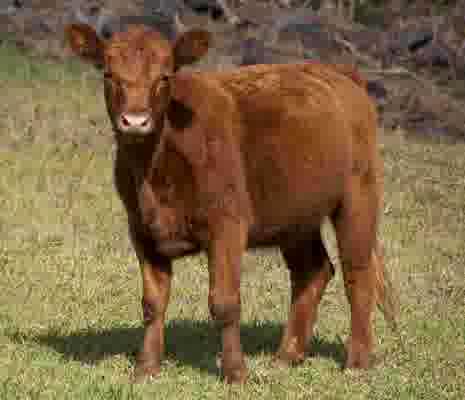 아이폰 gps 켜기 끄기 및 위치서비스 설정 방법