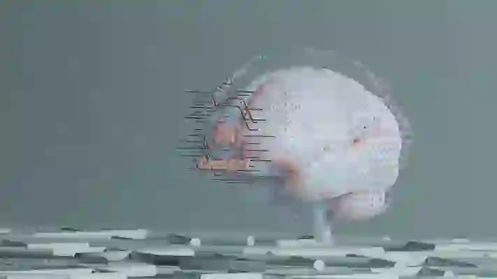 아이폰 초기화 방법 재설정 하는법