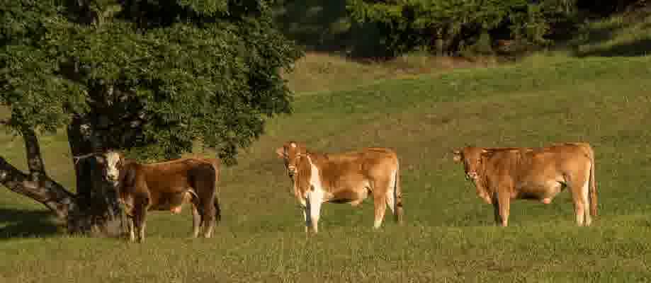 인스타 계정 삭제 하는법 탈퇴 모바일 PC 인스타그램 계정삭제