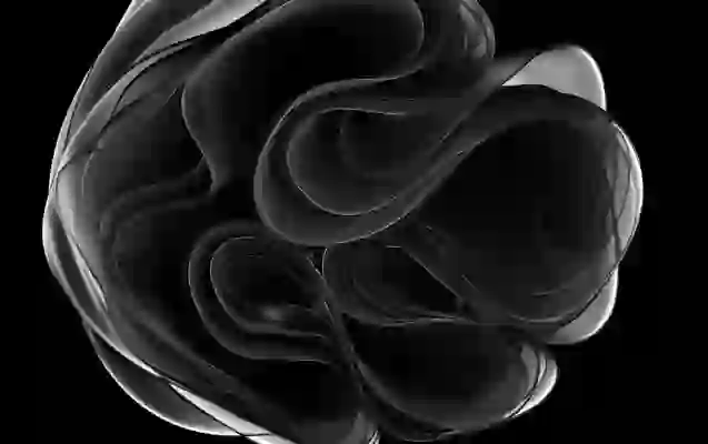 자동차 차량 스티커 제거, 다양한 주차 스티커 떼는 방법