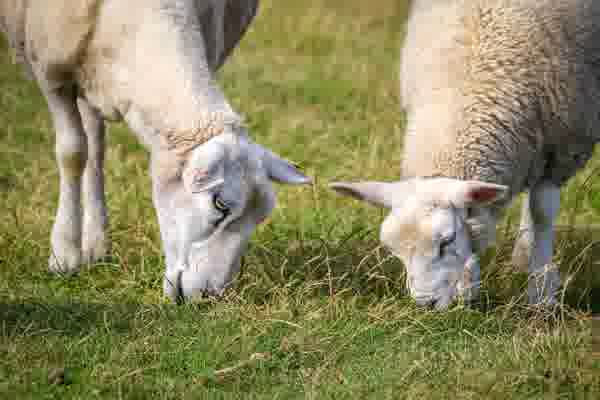 폴라리스오피스 웹 hwp hwpx 파일 열기 편집 방법