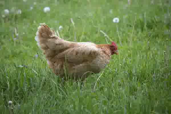 핸드폰 스마트폰 CCTV 샤오미캠 후기! 집 가정용 홈 cctv