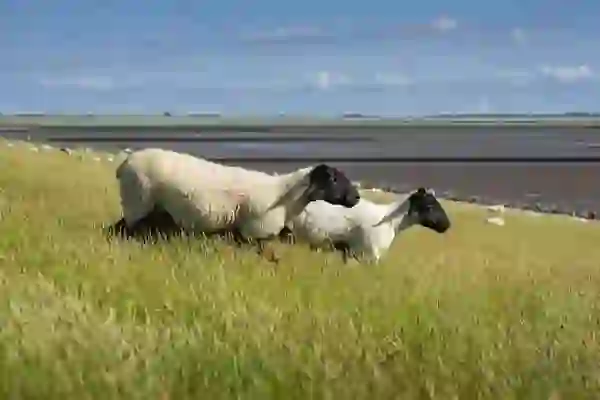 2025년 웨딩박람회 일정 및 무료 초대권 신청 방법 완벽 가이드 | 웨딩박람회, 예비부부, 무료초대권