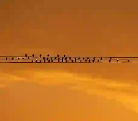 고척스카이돔 외야 끝자리 앉아보니