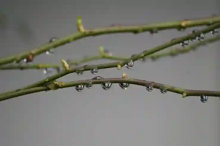 고척스카이돔 이 구역 명당 인정?