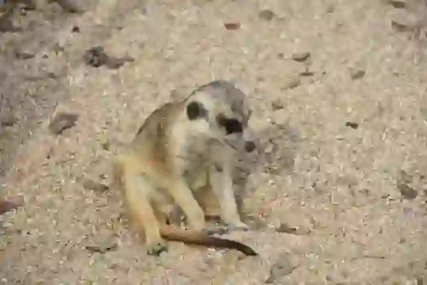 고척스카이돔 관람 꿀팁 모음