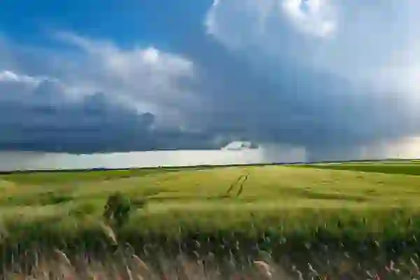 고척스카이돔 음식 반입 가능할까?