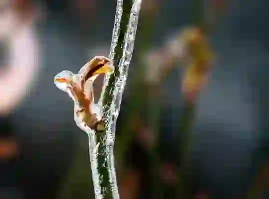 고척스카이돔 돔구장 장점