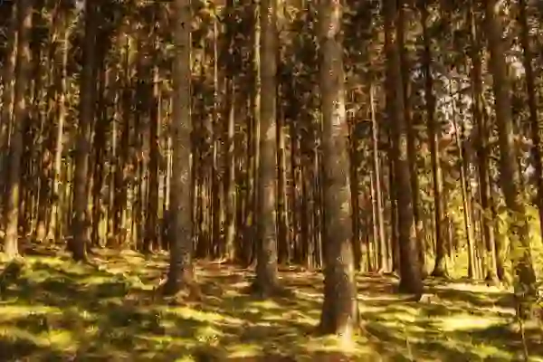 고척스카이돔 외야 응원석 분위기