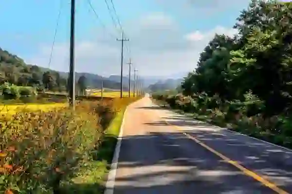 고척스카이돔 정문에서 가는 길