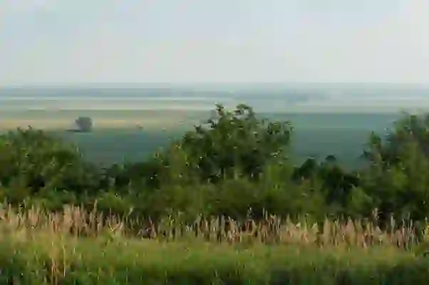 갤럭시탭 A9 플러스 A9+ 스펙 삼성 가성비 태블릿