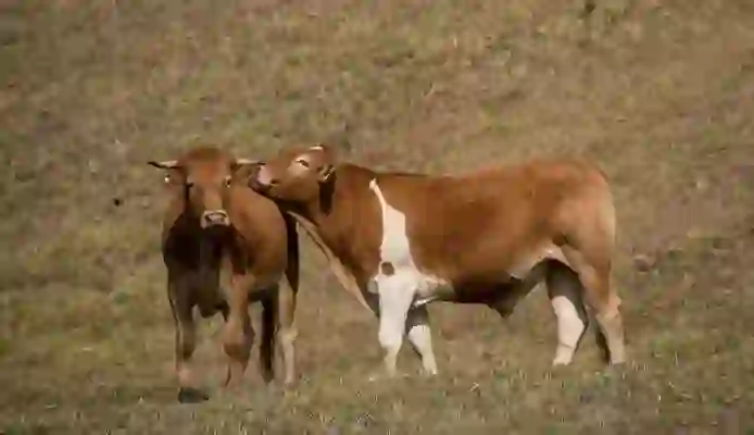 뉘 한남점 스트레칭 학원| 몸의 긴장을 풀고 건강을 찾는 방법!” | 스트레칭, 건강, 운동, 피트니스