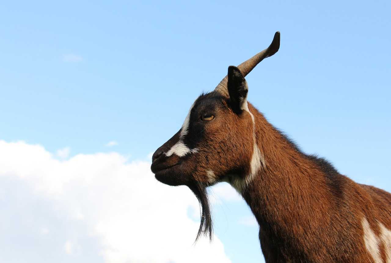 닌텐도 스위치 수리 방법 AS 비용 보증기간