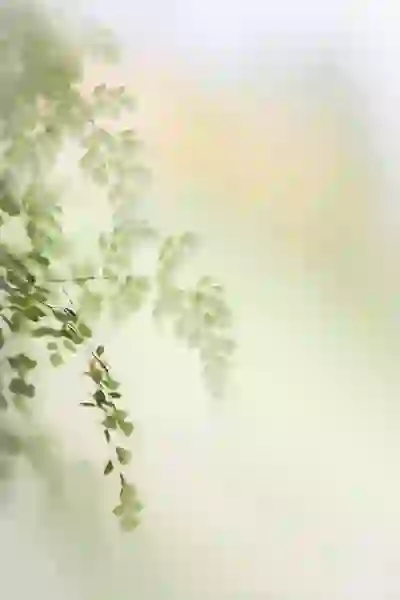 대구진짜 웨딩박람회 12월 일정 및 꼭 가봐야 할 이유 | 결혼 준비, 웨딩 플래너, 행사 정보