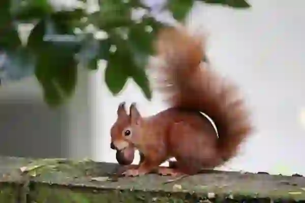 세대 분리와 복지 혜택 받기| 효과적인 방법과 필수 팁 | 세대 분리, 복지 제도, 경제적 지원”