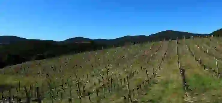 소자본으로 악세사리 쇼핑몰 창업하기| 성공적인 창업을 위한 5가지 팁 | 쇼핑몰 운영, 창업 전략, 액세서리 비즈니스