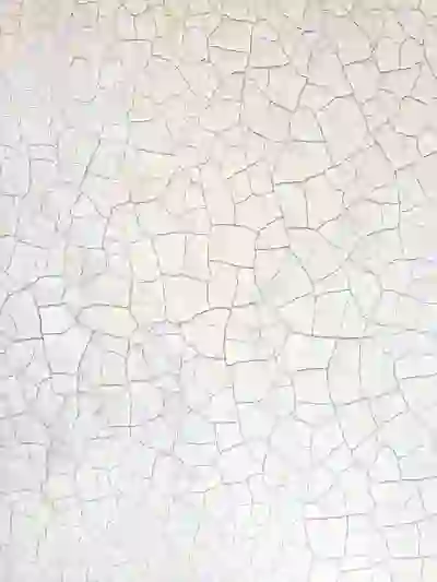 승무원 자격 조건의 변천사| 알아야 할 변화와 준비사항 | 승무원, 자격 조건, 항공업계