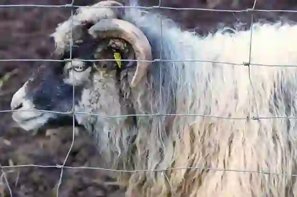 옆집 와이파이 비밀번호 알아내기 위한 5가지 간단한 방법 | 와이파이 해킹, 인터넷 접속, 비밀번호 찾기