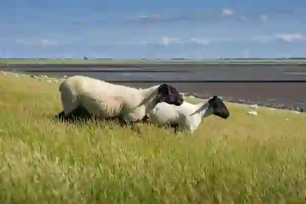 인스타그램 해킹 안 당하려면 인스타해킹 방지 2단계 설정