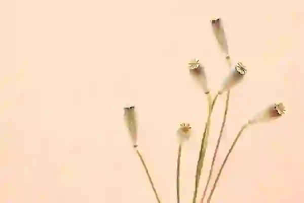 카카오뱅크 모바일 인증 간편하게 설정하기