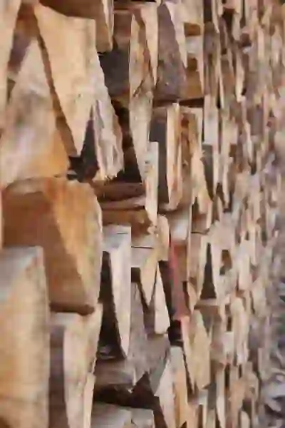 카카오뱅크 카드 무실적 혜택 분석