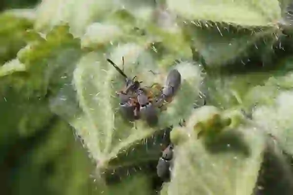 카카오뱅크 통장 꾸미기 아이디어