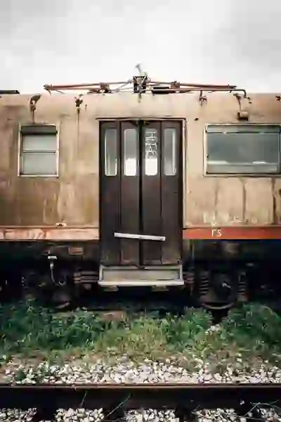 헌혈 확인증명서 사용 시 추가 혜택을 누리는 법 | 헌혈, 의료 혜택, 실용 팁