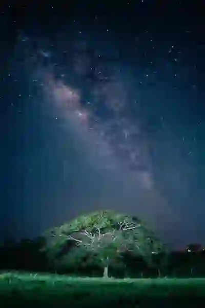 헌혈확인증명서 유효기간 및 연장 방법 완벽 가이드 | 헌혈, 건강, 서류 관리