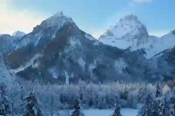 초음파 대용량 가습기 추천 : 사무실용으로도 여름에도 사용가능한 MIRO-MH5000 개봉기