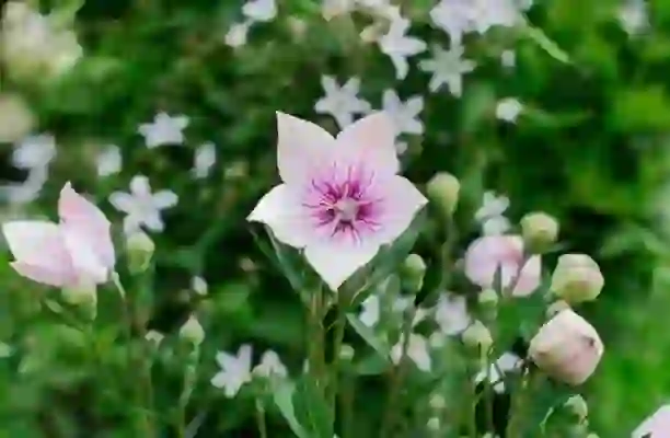 진주선불폰 정지된 기기로 선불유심개통완료