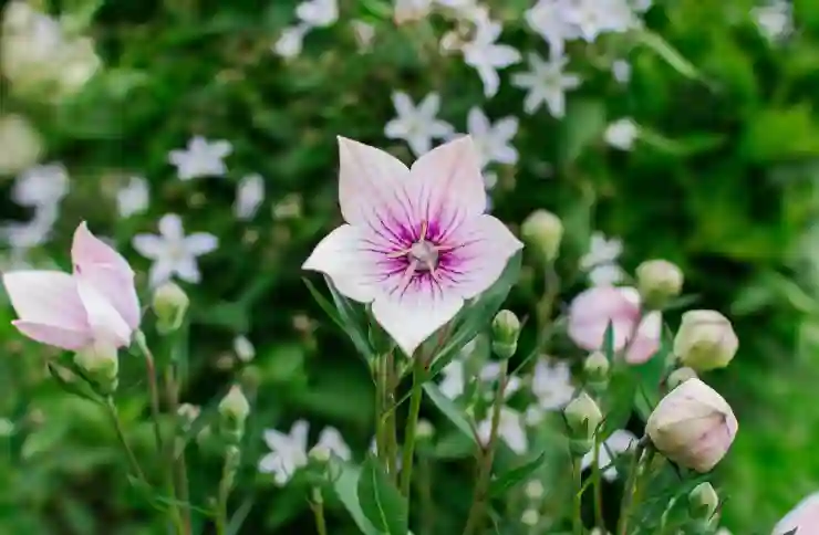 구로선불폰 본인이름으로 선불유심칩개통했지요