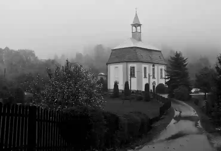 앤텔레콤 방법 셀프 개통시 선불폰 유심 종합안내서