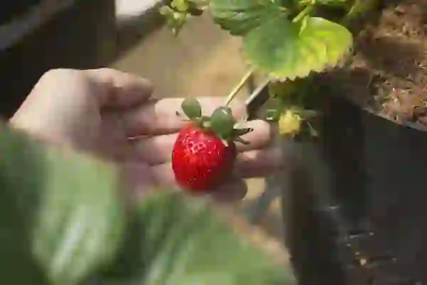 인스타그램로그아웃 방법 매우 간단해요