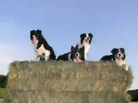 대구동구선불폰 신용에 문제있어도 가능하지 콜!!