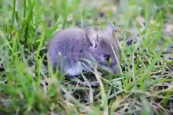 인체공학 손목보호 무선 버티컬 마우스 찾는다면 앱코WEM40 추천할만해!