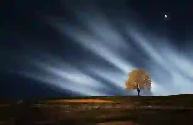 어롱쉐어: 넷플릭스(Netflix) OTT 할인코드12%로로 초저가 이용법 가이드제공