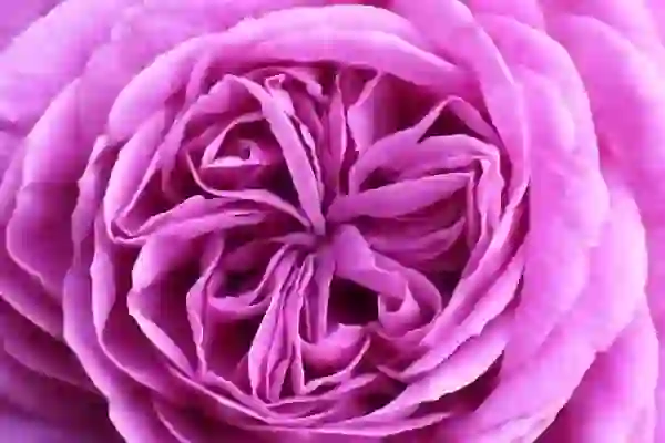 디즈니플러스+ 자막 설정 및 없애기 세팅법 싸게 구독하는 방법까지