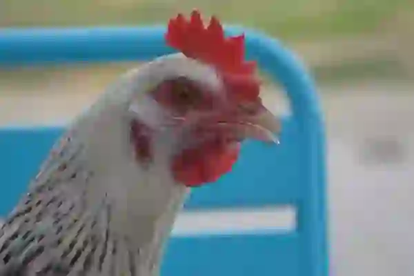 온습도계 카스 디지털 T012 저렴한 가격이라 만족해서 사용중~