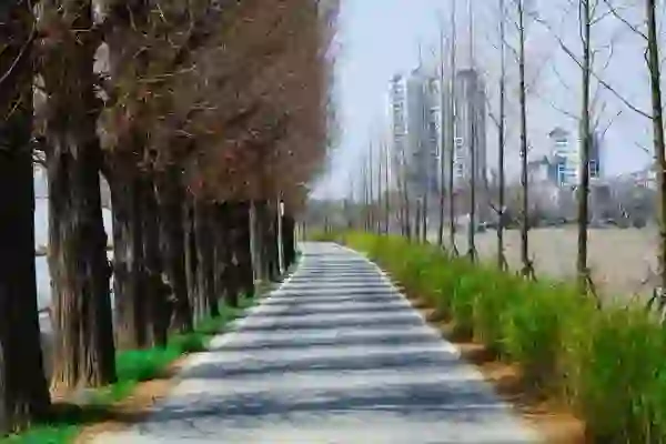 가로수길 애플스토어 예약 접수 방문, 수리AS일시 꼭 하고 가야지