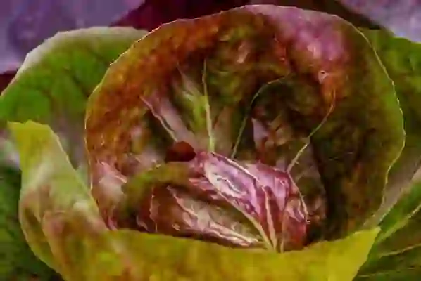 창원선불폰 많은 요금제중에서 무제한 선불유심개통했지요