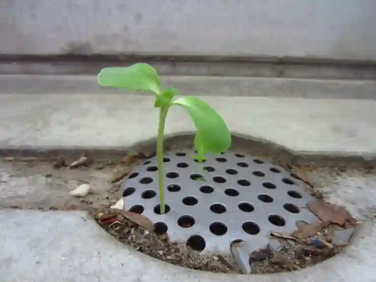 네이버인증서 발급방법 10초만에! 궁금하면 클릭!