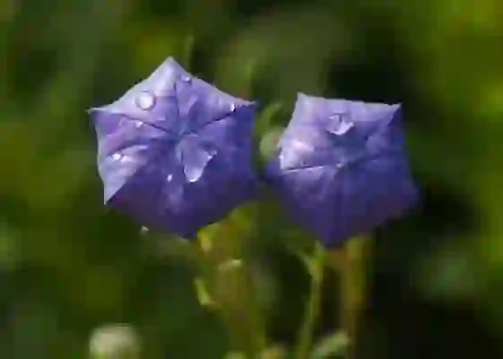 서면선불폰 SK미납 수발신안되는 갤S8 선불유심칩개통