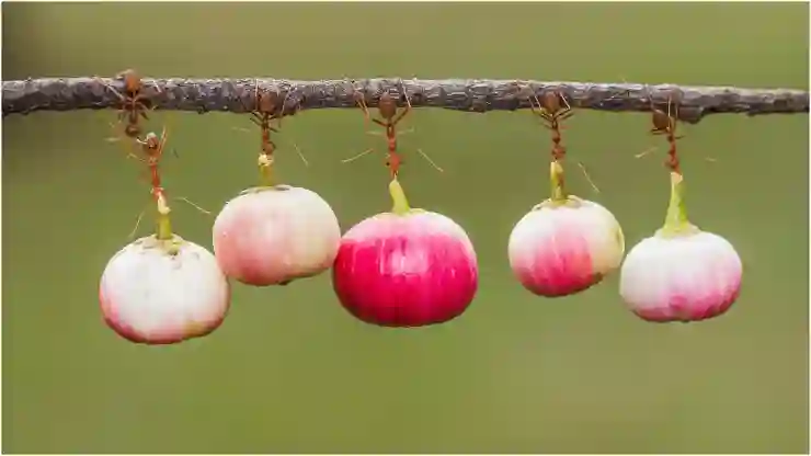 엑셀 중복값제거 찾기 간단하게