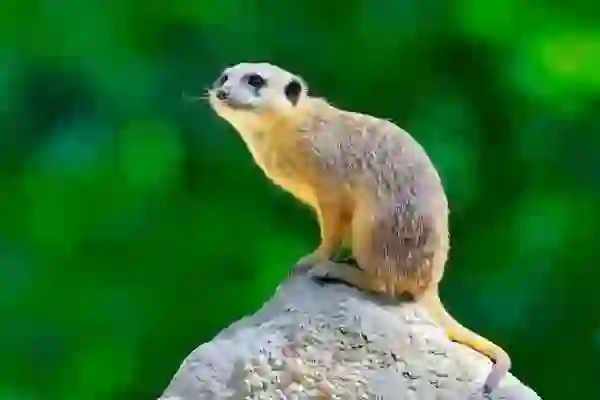 삼성전자 서비스센터 예약 온라인 및 영업시간 확인(에어컨E4 냉매충전)