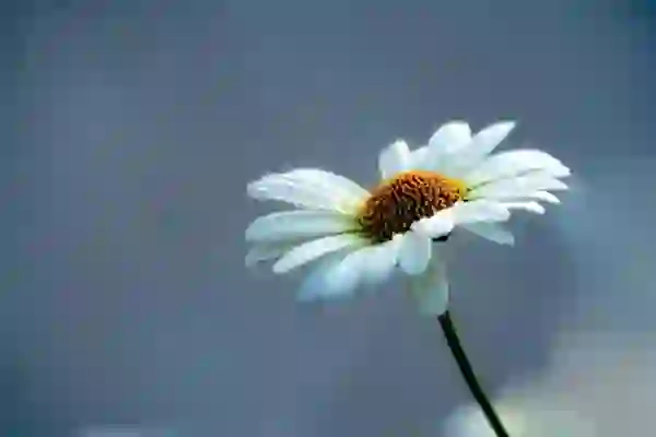 판다한국vpn 컴퓨터와 모바일(아이폰&아이패드)에서 편하게 사용했던 pandavpn 추천!