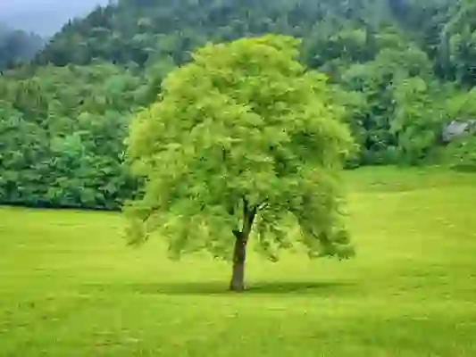 카톡 단체문자 보내기 개별적으로 보내는 방법, 어플 사용하지 않기