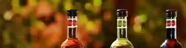 와인 어플 app 와인에 관한 정보 및 평가 알수 있어요