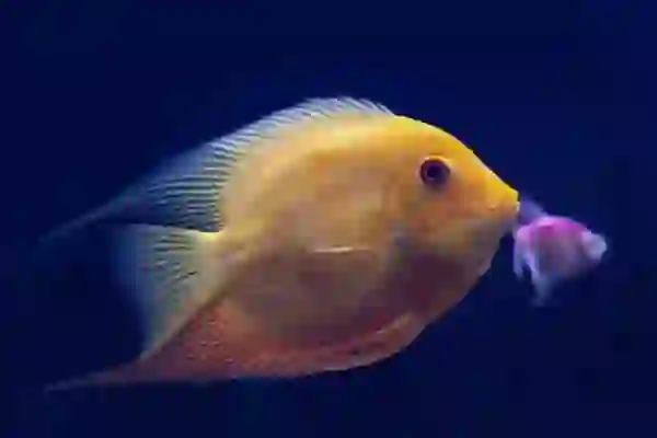 원칩유심 그 외 편의점 선불유심으로 개통은 모바일에서 이렇게!