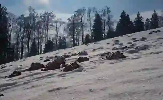 로지텍M185 무선마우스 사무용으로 추천